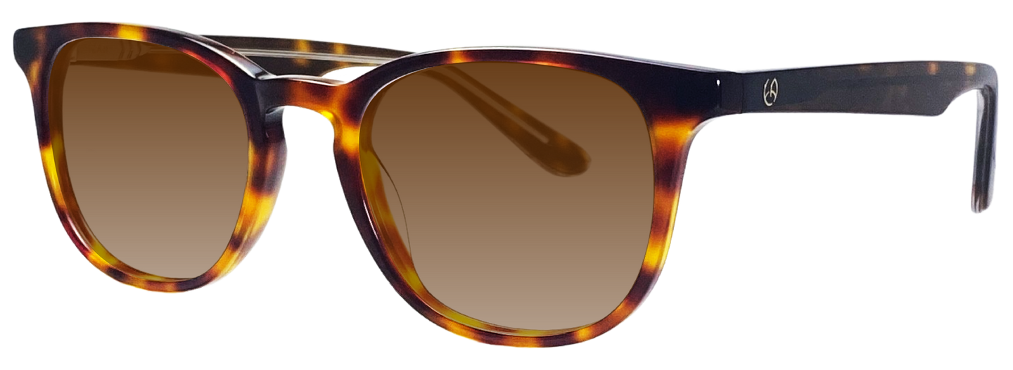 Izar Brown Shell Sun